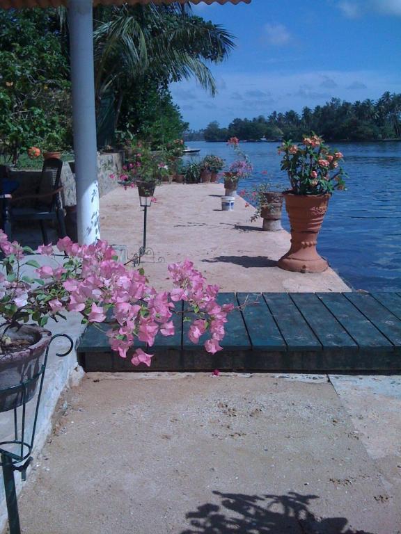 فندق بيروفالافي  Ganga Garden المظهر الخارجي الصورة